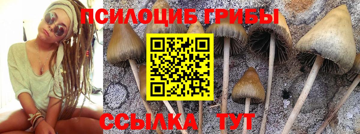 Галлюциногенные грибы Cubensis Ялта