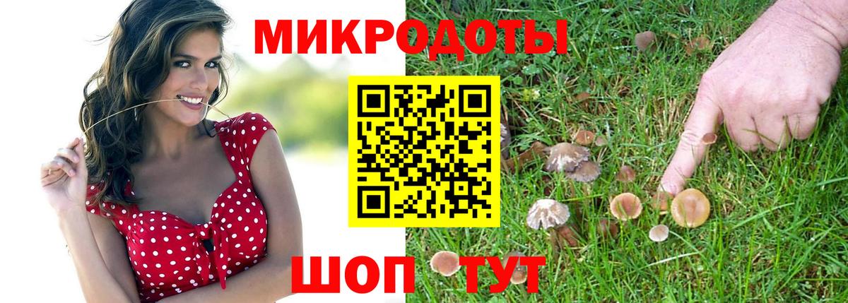 Галлюциногенные грибы Cubensis  Вход с VPN  Ялта  Псилоцибиновые грибы мицелий 